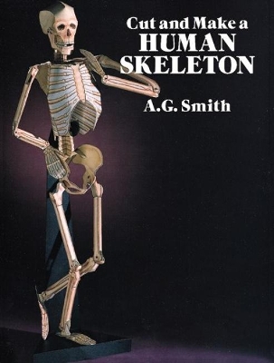 Book cover for Cut and Make a Human Skeleton