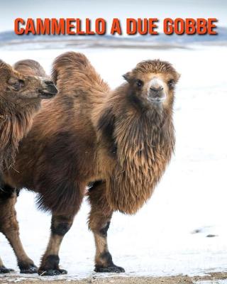 Cover of Cammello a due gobbe