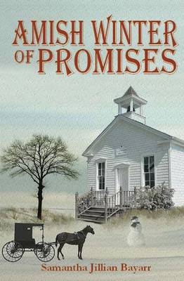Book cover for Amish Winter of Promises