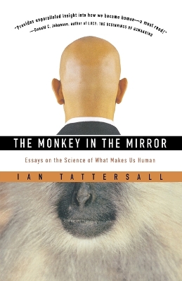 Book cover for The Monkey in the Mirror