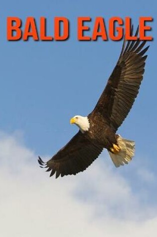 Cover of Bald Eagle