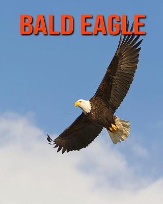 Book cover for Bald Eagle