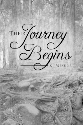 Book cover for Their Journey Begins