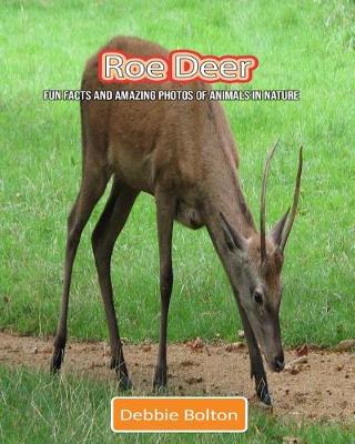 Book cover for Roe Deer