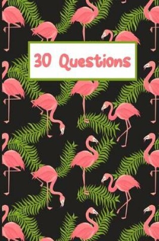 Cover of Pink Flamingo 30 Questions Of Happiness Monthly Journal