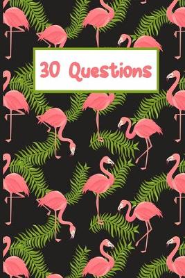 Book cover for Pink Flamingo 30 Questions Of Happiness Monthly Journal