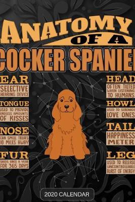 Book cover for Anatomy Of A English Cocker Spaniel