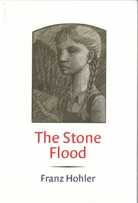 Book cover for The Stone Flood