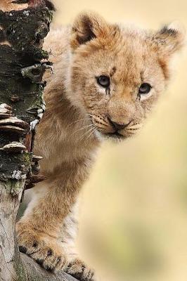 Book cover for Curious Little Lion Cub is Watching You Journal