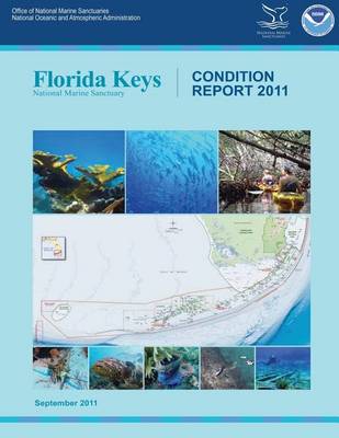 Book cover for Florida Keys National Marine Sanctuary Condition Report 2011