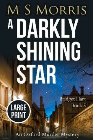 Cover of A Darkly Shining Star (Large Print Edition)