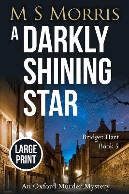 Book cover for A Darkly Shining Star (Large Print Edition)