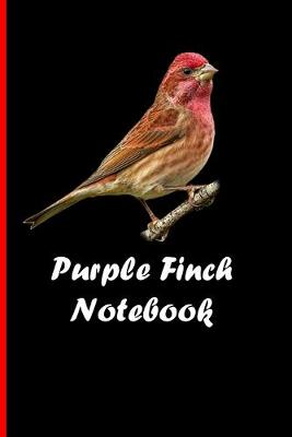 Book cover for Purple Finch Notebook