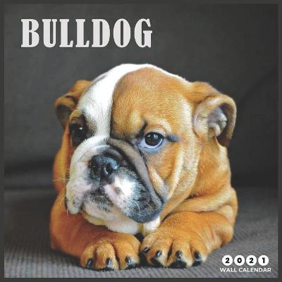 Book cover for Bulldog 2021 Wall Calendar