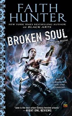 Book cover for Broken Soul