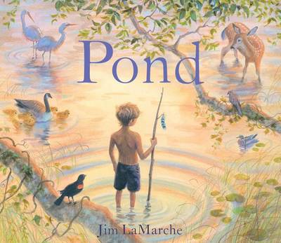 Book cover for Pond