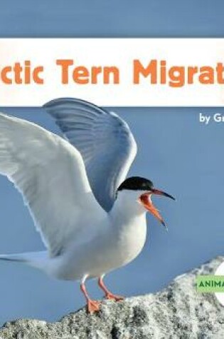 Cover of Arctic Tern Migration