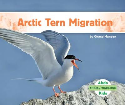 Cover of Arctic Tern Migration