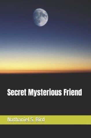 Cover of Secret Mysterious Friend