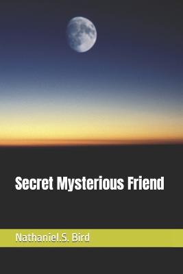 Book cover for Secret Mysterious Friend
