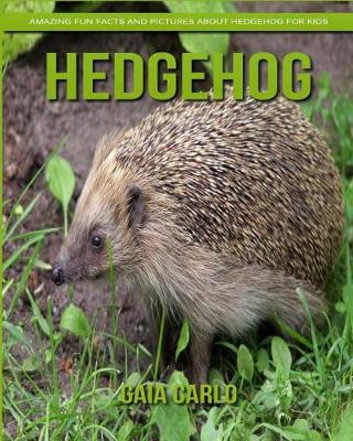 Book cover for Hedgehog