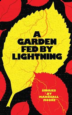 Book cover for A Garden Fed by Lightning