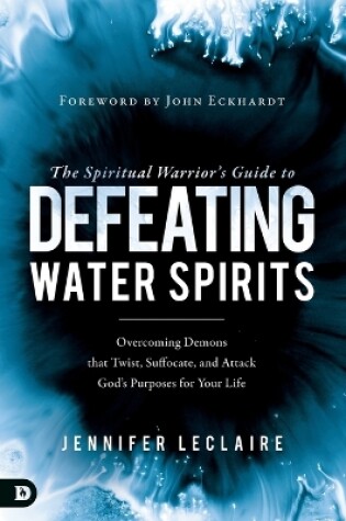 Cover of Spiritual Warrior’s Guide to Defeating Water Spirits, The