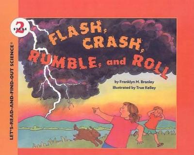 Book cover for Flash, Crash, Rumble and Roll