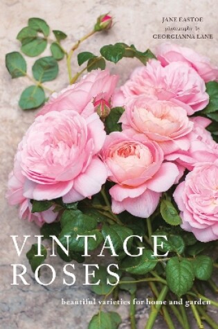 Cover of Vintage Roses