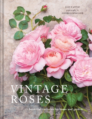 Book cover for Vintage Roses