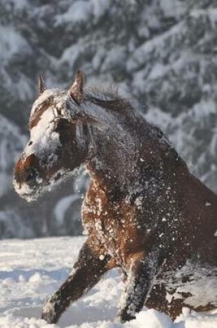 Cover of Paso Fino Horse Covered in Cold Snow Journal Brrrr!