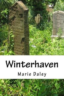 Book cover for Winterhaven