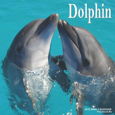 Book cover for Dolphin