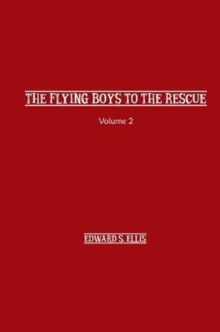 Cover of The Fly Boys to the Rescue