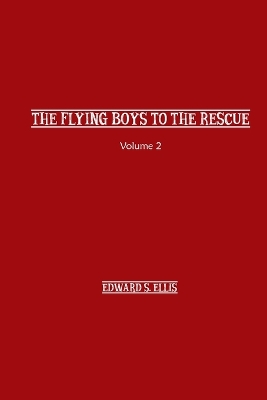 Book cover for The Fly Boys to the Rescue