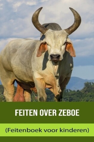 Cover of Feiten over Zeboe (Feitenboek voor kinderen)