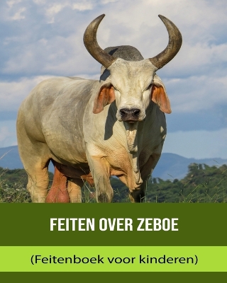 Book cover for Feiten over Zeboe (Feitenboek voor kinderen)