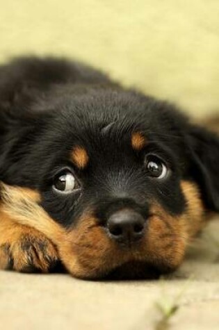 Cover of Rottweiler Puppy Laying Down and Looking Cute, for the Love of Dogs