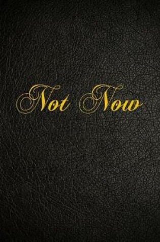 Cover of Not Now