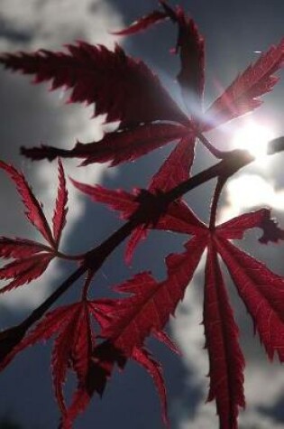 Cover of Japanese Maple Leafs and Clouds Journal