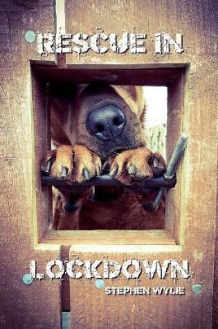 Cover of Rescue In Lockdown