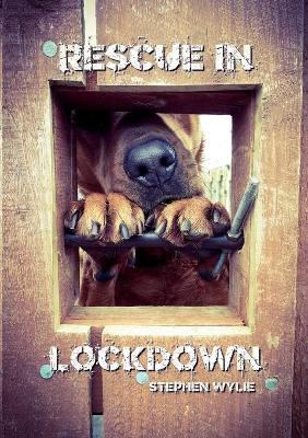 Book cover for Rescue In Lockdown