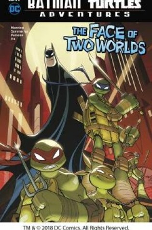 Cover of Batman / Teenage Mutant Ninja Turtles Adventures Pack A of 6