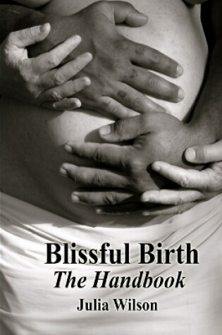 Cover of Blissful Birth - The Handbook