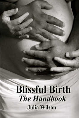 Book cover for Blissful Birth - The Handbook