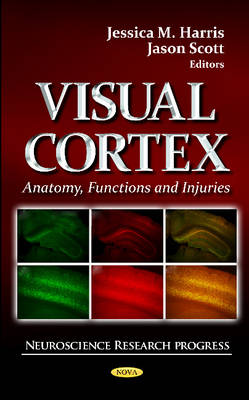 Book cover for Visual Cortex