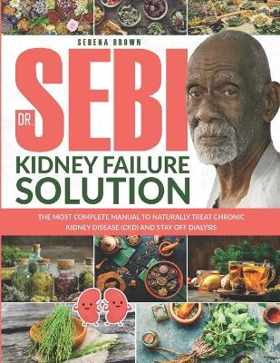 Book cover for Dr. Sebi Kidney Failure Solution