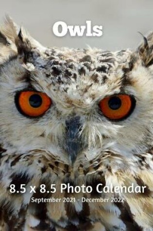Cover of Owls 8.5 X 8.5 Calendar September 2021 -December 2022