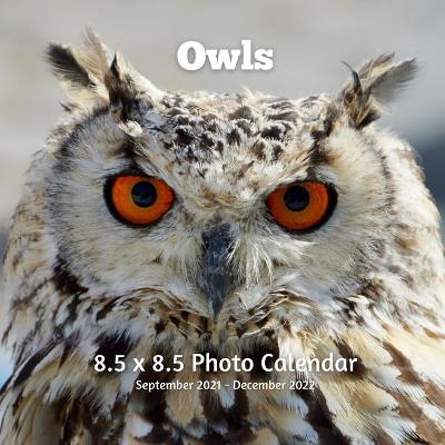 Book cover for Owls 8.5 X 8.5 Calendar September 2021 -December 2022