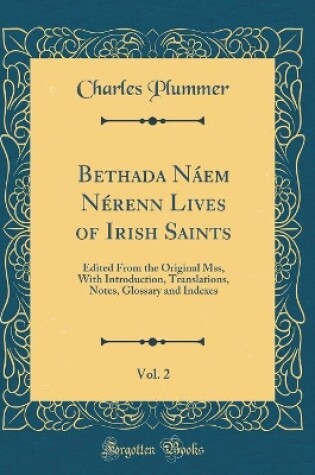 Cover of Bethada Náem Nérenn Lives of Irish Saints, Vol. 2: Edited From the Original Mss, With Introduction, Translations, Notes, Glossary and Indexes (Classic Reprint)